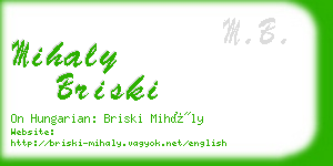 mihaly briski business card